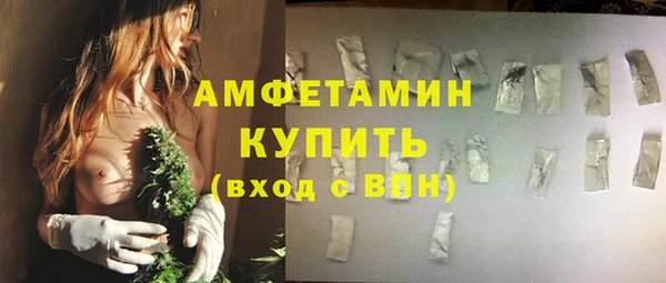 PSILOCYBIN Алзамай