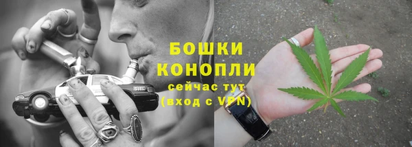 PSILOCYBIN Алзамай