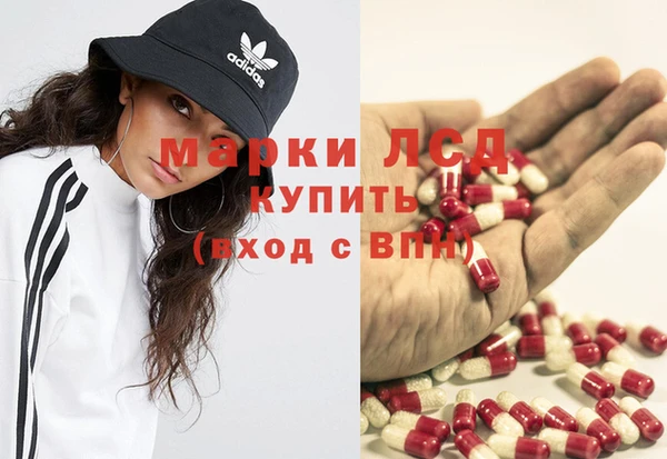 PSILOCYBIN Алзамай
