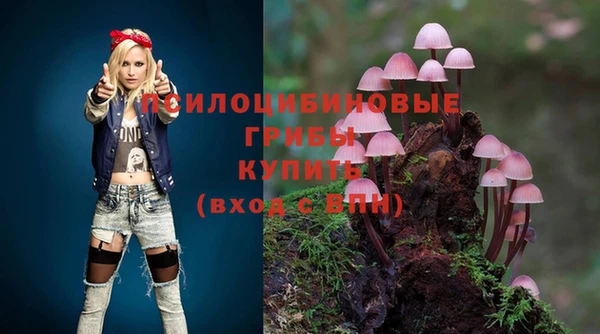 PSILOCYBIN Алзамай