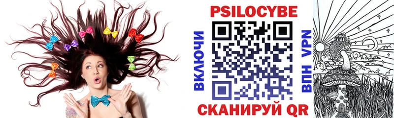 Галлюциногенные грибы Psilocybine cubensis  магазин    Сунжа 