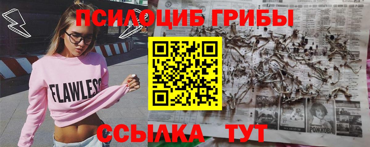 Сунжа  Псилоцибиновые грибы прущие грибы  Вход с VPN 