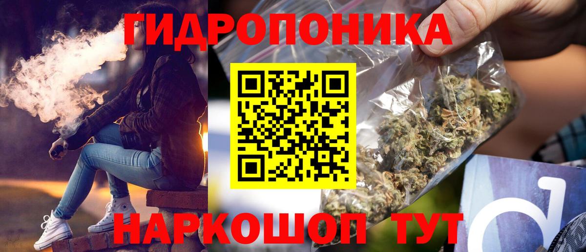 Бошки Шишки сатива Сунжа
